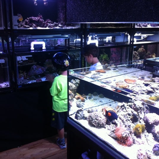 Fauna Upper West Side 6 tips