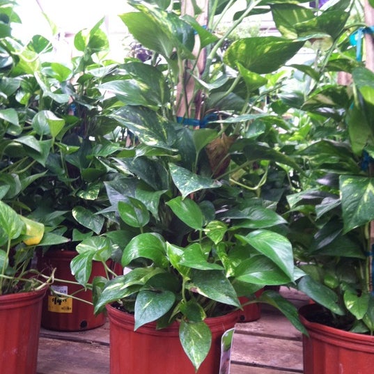 The Home Depot Garner, NC