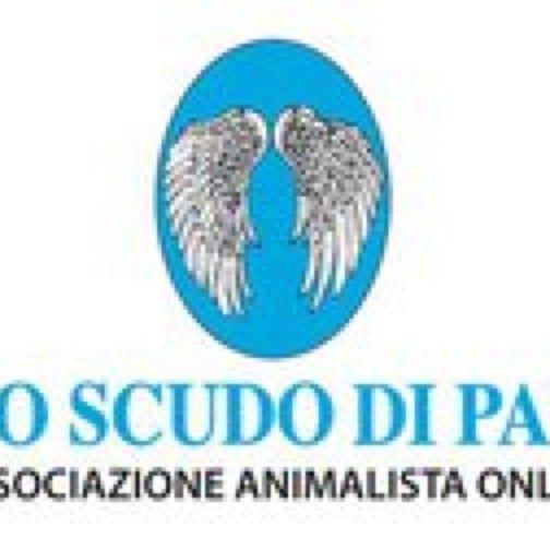 2/27/2011にRenzo T.がLo Scudo di Panで撮った写真