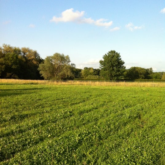 Баскетбольная площадка сетка. Футбол поле. Terrain de football synthesize. Terrain de. Футбол в тумане.