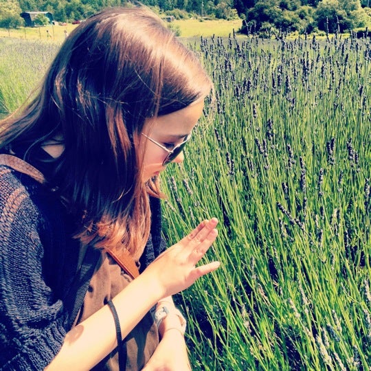 7/6/2012にTara K.がPelindaba Lavender Farmで撮った写真