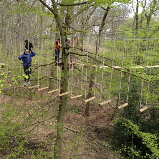 Go Ape Cockfosters Enfield 9 Tips Go Ape Cockfosters Enfield 9 Tips