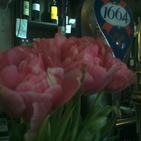 Le Chat Perche Hotel De Ville Paris Ile De France