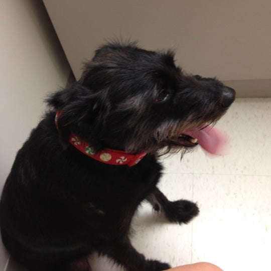 3/19/2012にLiz F.がThe Paw Patch Veterinary Clinicで撮った写真