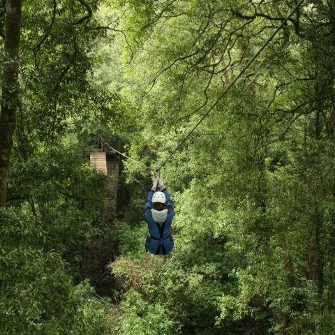 8/21/2012にAdrian H.がRotorua Canopy Toursで撮った写真