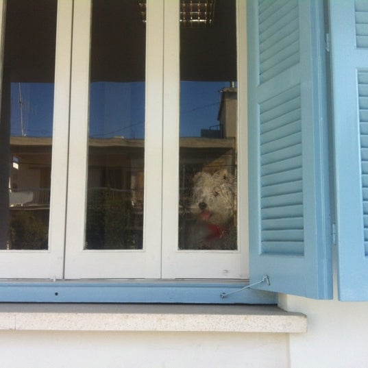 petlife veterinary clinic