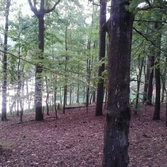Photos At Red Top Mountain Cabin 14 Campground In Cartersville