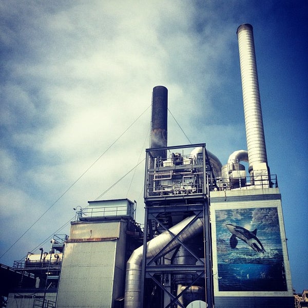 Company of heroes 2 главное меню. Игры стим. Company of heroes 2 ссср. Coh2 вермахт офицер. Смешные отзывы стим.