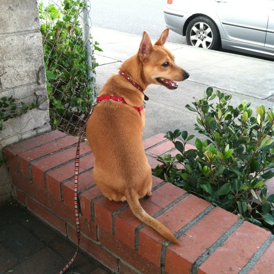 vca foothill veterinary hospital