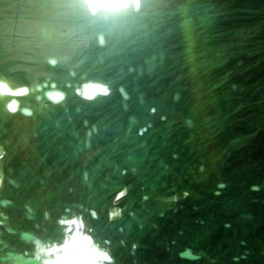 Prestige Car Wash 101 Elm St