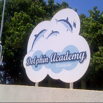 Foto tirada no(a) Dolphin Academy por Barry em 10/2/2011