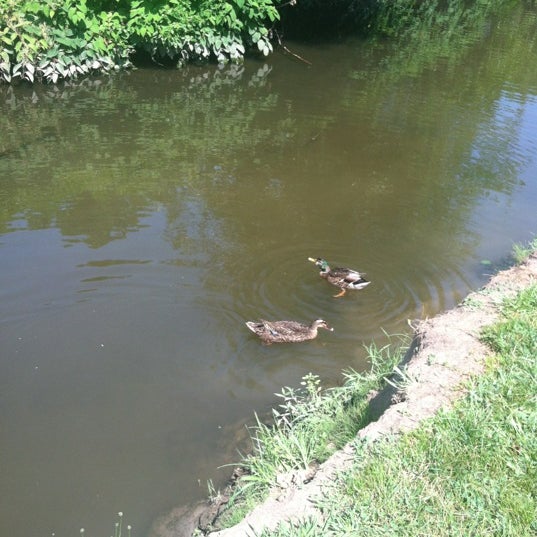 moores lake 14th & Fletcher Ave Field