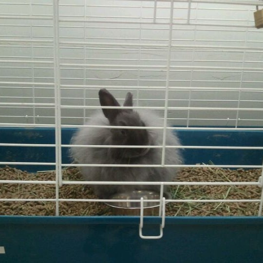 Photos at Pet World Warehouse Pet Store in West Allis