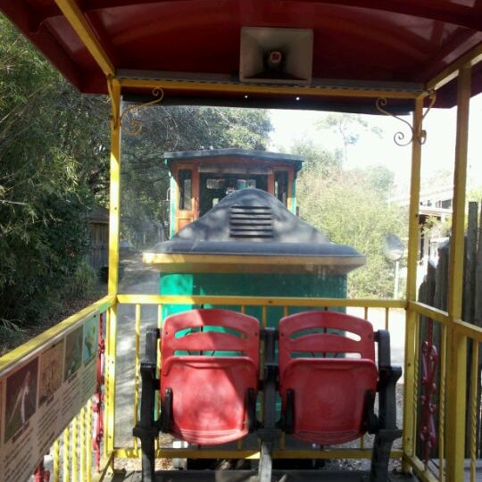 Jacksonville Zoo Train Ride Northside 2 tips from 499 visitors