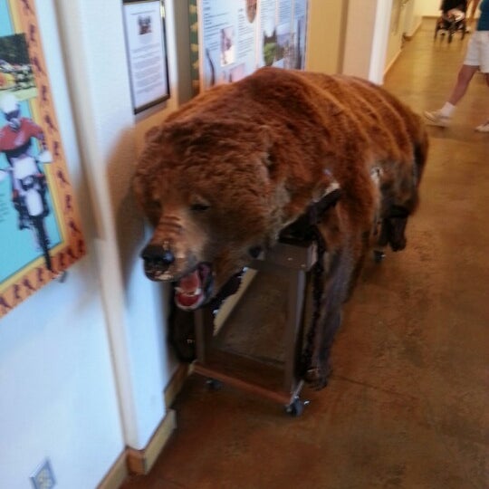 7/29/2012にDerek J.がBig Bear Discovery Centerで撮った写真