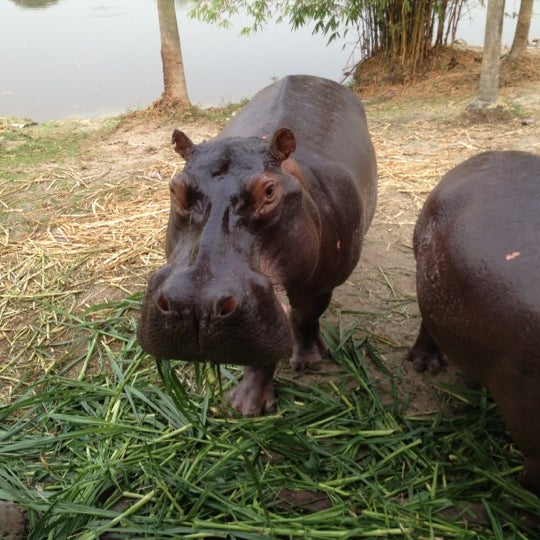 Paya Indah Wetlands Park