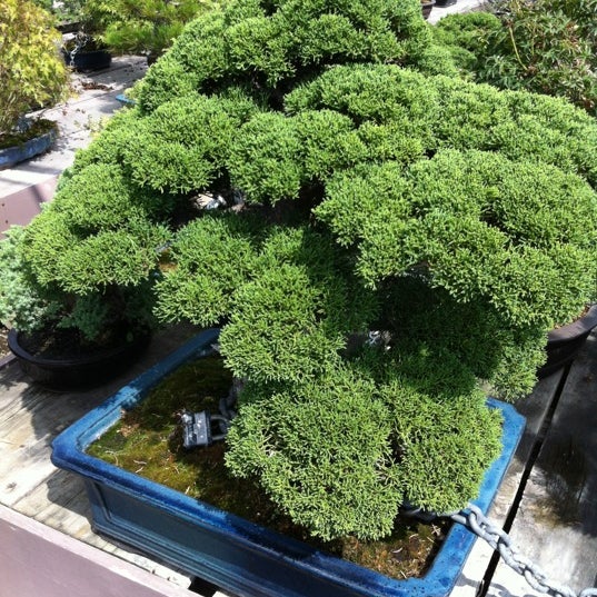 Photos At San Gabriel Nursery Florist Garden Center Photo Taken At San Gabriel Nursery Florist By Victor C On