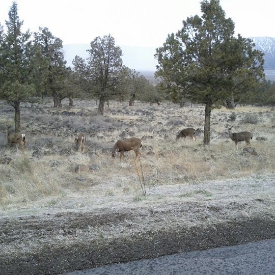 รูปภาพถ่ายที่ Running Y Ranch Resort โดย D.J. A. เมื่อ 3/18/2012
