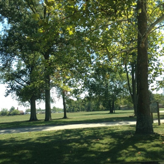 My Image 11