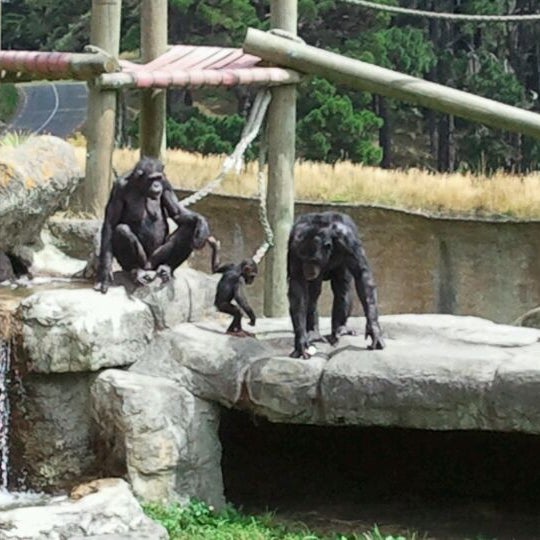 Photo taken at Wellington Zoo by Karen H. on 2/10/2012