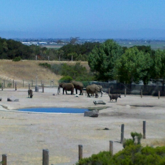Das Foto wurde bei Wild Things - Monterey Zoo von Helena A. am 7/7/2012 aufgenommen