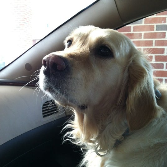 TD Bank Roxborough 5501 Ridge Ave