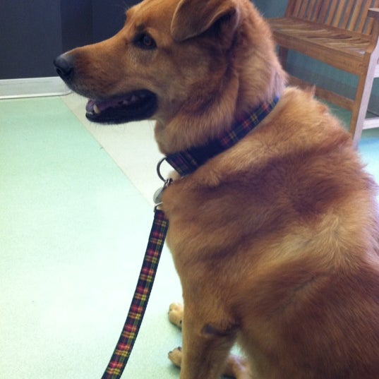 4/27/2012 tarihinde Jenn L.ziyaretçi tarafından West Village Veterinary Hospital'de çekilen fotoğraf