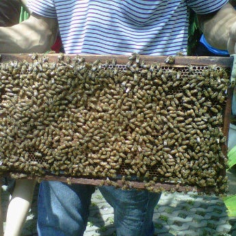 Photo taken at Big Bee Farm (Pattaya) by Martin S. on 3/23/2012