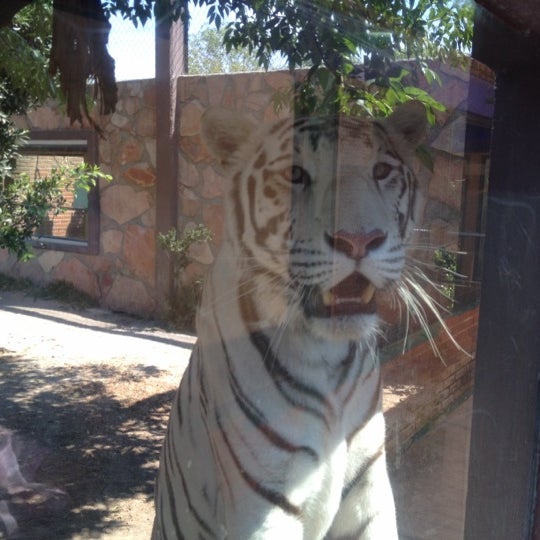 Photo taken at Zoo Parque Loro by Antonio O. on 4/7/2012