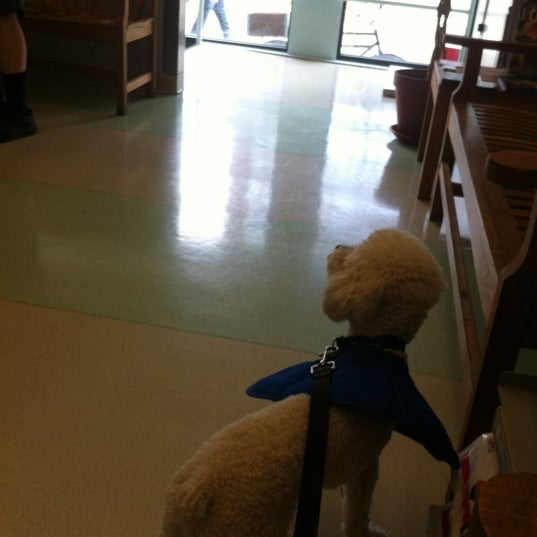 9/4/2012 tarihinde Amandaziyaretçi tarafından West Village Veterinary Hospital'de çekilen fotoğraf