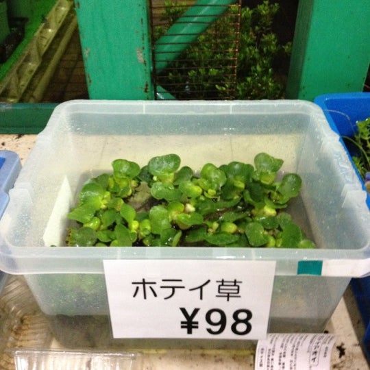 Photos At カインズホーム Fc白旗店 中央区鵜の森町3