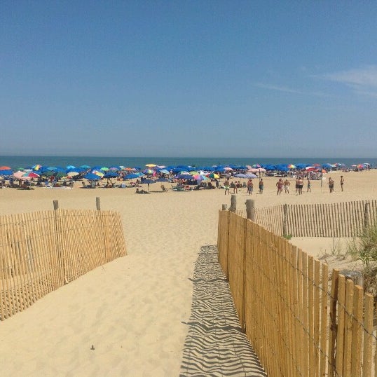 Poodle Beach Rehoboth Beach, DE
