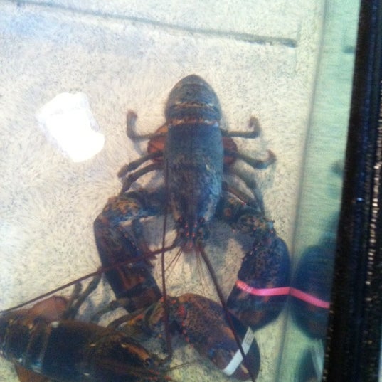 Foto scattata a Red Lobster da Babar R. il 3/3/2012