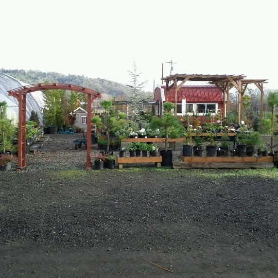 Rosewood Gardens & Nursery