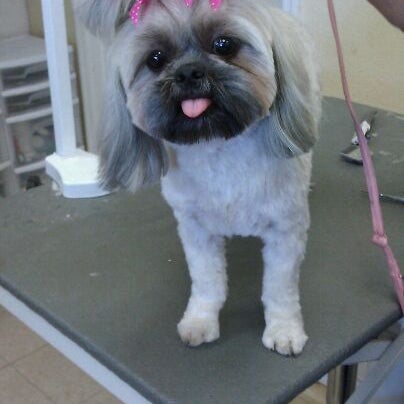 Photo taken at Aunt Donna&#39;s Grooming by Jenny H. on 11/15/2011