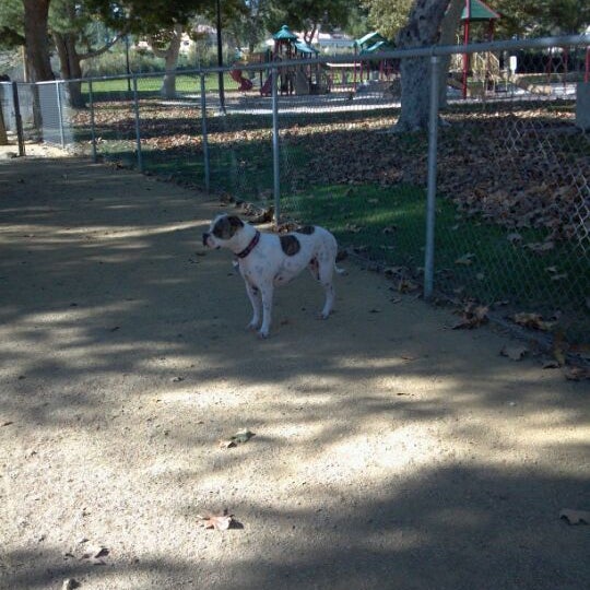 Moorpark Dog Park (Official) Dog Park in Moorpark