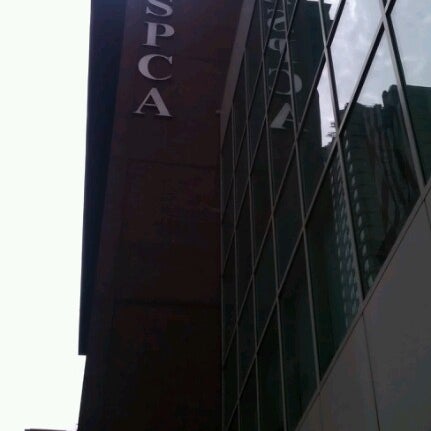 Aspca Adoption Center Yorkville 32 Tips From 1799 Visitors