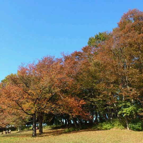 Photos At 東浦和中央公園 緑区 さいたま市 埼玉県
