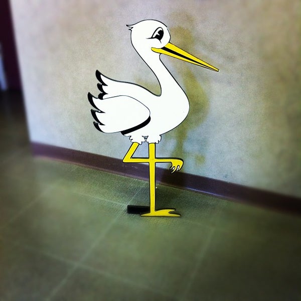 Arriba 83+ imagen florida office of vital statistics Abzlocal.mx