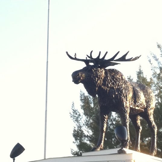 royal order of the moose royal order of the moose