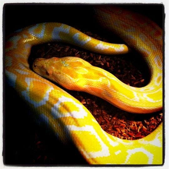 The Pet Warehouse 71 tips