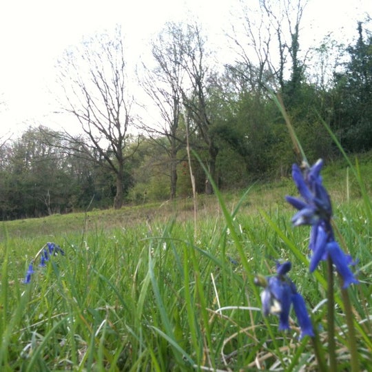 Anston Stones Rotherham, Rotherham