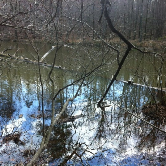 3/4/2012にWilliam B.がDurant Nature Parkで撮った写真