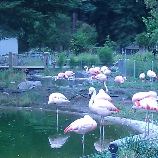 Photo taken at Sequoia Park Zoo by No_emy on 8/8/2012
