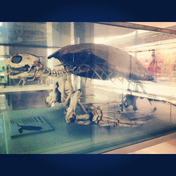 Photo taken at Cambridge University Museum Of Zoology by Jamie S. on 8/15/2012