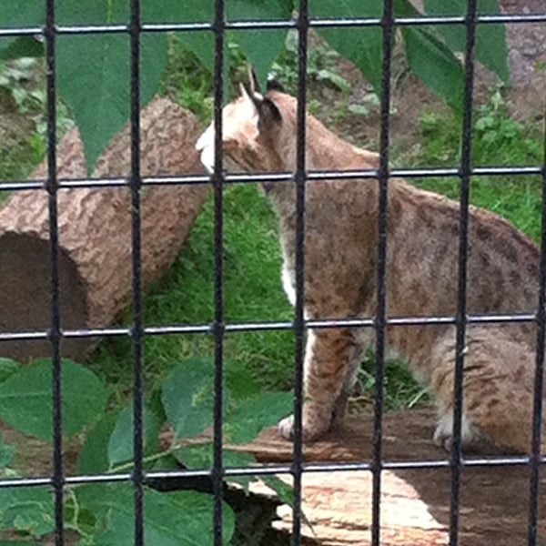 Foto diambil di Elmwood Park Zoo oleh The Spring Mount 6. pada 6/24/2012