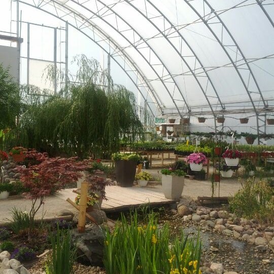 Photos At Hillside Greenhouses Garden Center In Morden