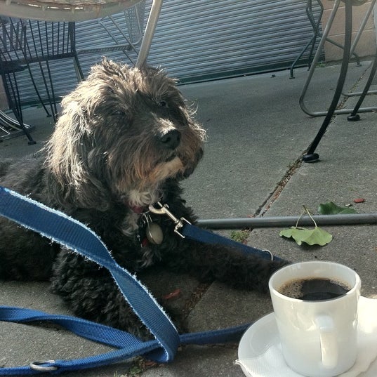 Photo taken at Main Street Coffee Roasting Company by Gordon G. on 5/18/2012
