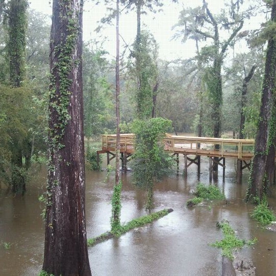 Photos at The Chimes of Covington American Restaurant in Covington