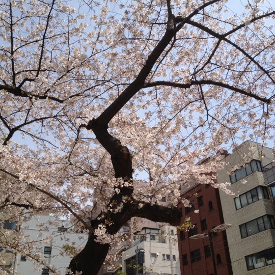 佐久間公園 秋葉原 東京 東京都 佐久間公園 秋葉原 東京 東京都